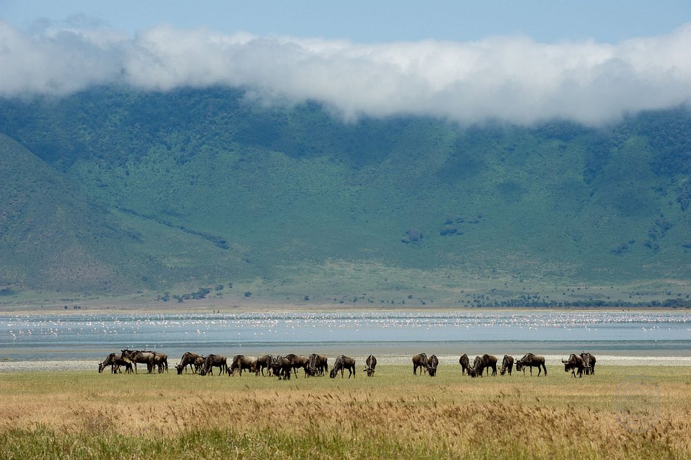2 Days Best Budget Safari Tarangire & Ngorongoro Crater - Tanzania safari gallery image